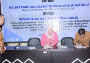 Bupati Bengkalis Kasmarni Tanda Tangani Kerjasama bersama Kepala BKSDA Riau
