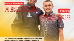 Teva Iris: Belajar dari Hercules, Organisasi Harus Maju dan Besar