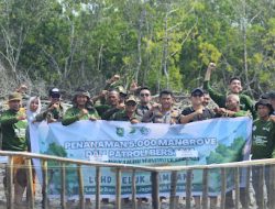 LPHD Teluk Pambang dan YKAN Tanam 5.000 Mangrove dan Gelar Patroli Bersama di Kawasan Pesisir Bengkalis